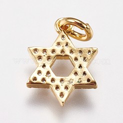 Brass Micro Pave Cubic Zirconia Charms&nbsp;ZIRC-E145-56G