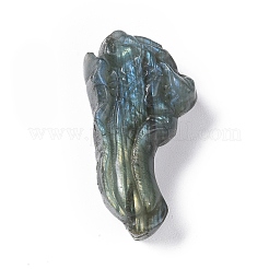 天然石ラブラドライトカボション  白菜  41~43.5x20~23.5x9~14mm&nbsp;G-G985-10