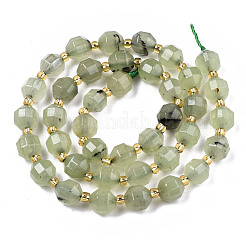 Natural Prehnite Beads Strands&nbsp;G-T131-78A