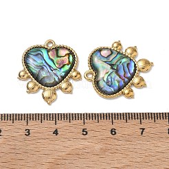 Natural Paua Shell Pendants&nbsp;SA-CBA11D7-22B-G