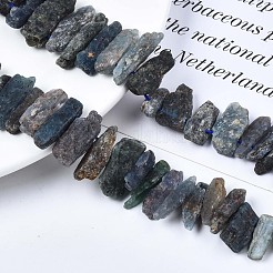Natural Kyanite/Cyanite/Disthene Quartz Beads Strands&nbsp;G-R432-09