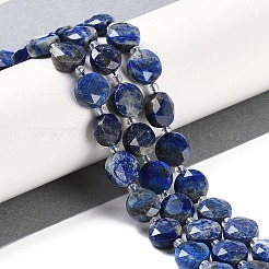 Natural Lapis Lazuli Beads Strands&nbsp;G-N342-16