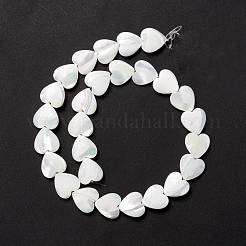 Natural Trochid Shell/Trochus Shell Beads&nbsp;SSHEL-O001-27D