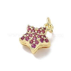 Brass Micro Pave Cubic Zirconia Charms&nbsp;KK-L268-030G-05
