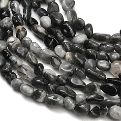 Natural Eagle Eye Stone Beads Strands&nbsp;G-D108-A02-04