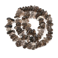 Natural Smoky Quartz Beads Strands&nbsp;G-P622-A01-02
