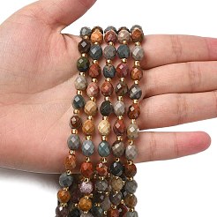 Natural Alashan Agate Beads Strands&nbsp;G-F809-A24-01