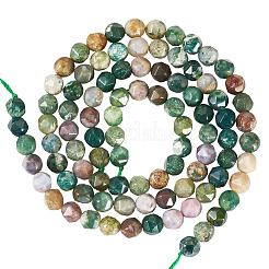 2 Strands Natural Indian Agate Beads Strands&nbsp;G-TA0002-54