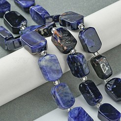 天然石ソーダライトビーズ連売り  シードビーズで  長方形  11.5~12.5x7.5~10x5~6.5mm  穴：0.8~0.9mm  約13個/連  7.68~8.07インチ（19.5~20.5cm）&nbsp;G-C098-A08-01