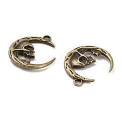 Tibetan Style Alloy Pendants&nbsp;FIND-C043-010AB