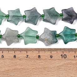 Natural Fluorite Beads Strands&nbsp;G-K359-E14