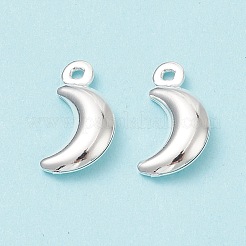 304 Stainless Steel Pendants&nbsp;STAS-I138-05S