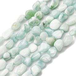 Natural Glass Beads Strands&nbsp;G-K395-A02-02