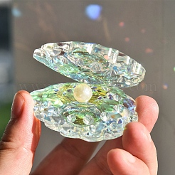 ガラスの装飾  ABSの模造パールと  ホームオフィスの装飾  シェル形状  クリアAB  40x50x60mm&nbsp;PW-WG77682-01