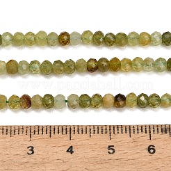 Natural Green Garnet Beads Strands&nbsp;GG-CBAA9B4-C03-02
