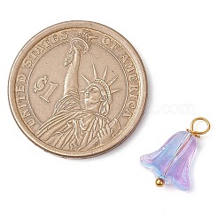20Pcs Glass Beads Pendants&nbsp;PALLOY-JF03103