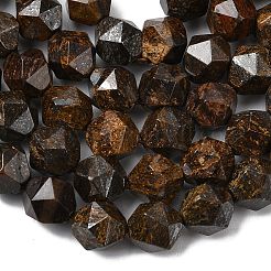 Natural Bronzite Beads Strands&nbsp;G-Z119-A30-02