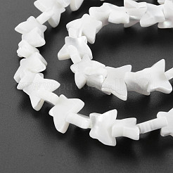 Natural Trochid Shell/Trochus Shell Beads Strands&nbsp;SHEL-S276-158
