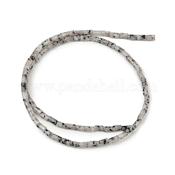 天然な名声ジャスパービーズ連売り  コラム  5~5.5x3~3.5mm  穴：1mm  約72~84個/連  15.04~15.35インチ（38.2~39cm）&nbsp;G-P600-B11-01
