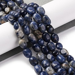 天然石ソーダライトビーズ連売り  ナゲット  タンブルストーン  7~12x6~8x5~7mm  穴：1mm  約43~44個/連  15.47~15.63''（39.3~39.7センチメートル）&nbsp;G-G146-A03-01