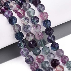 Natural Rainbow Fluorite Beads Strands&nbsp;G-S345-8mm-29