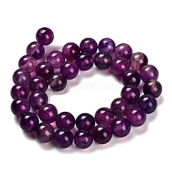 Dyed Natural Agate Beads Strands&nbsp;G-G203-10B-10mm