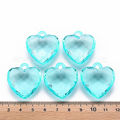 Transparent Acrylic Pendants&nbsp;LS-TACR-T024-03B-946