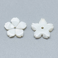 Freshwater Shell Beads&nbsp;SHEL-S275-033