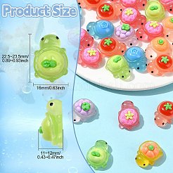 70色の蓄光不透明樹脂カボション7個  果物を持ったカメ  暗闇で光る  ミックスカラー  22.5~23.5x16x11~12mm  10個/カラー&nbsp;RESI-CJ0004-87