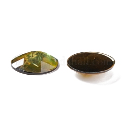 Paua Shell Cabochons&nbsp;SSHEL-C008-05