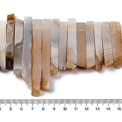 Natural Dendritic Agate Beads Strands&nbsp;G-E331-17-01