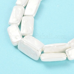 Electroplated Shell Pearl Beads Strands&nbsp;BSHE-C007-C01-01