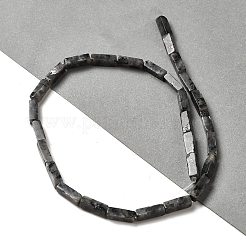 天然ラルビカイトビーズ連売り  長方形  13~13.5x4~4.5x4~4.5mm  穴：1.2mm  約29個/連  15.24''（38.7センチメートル）&nbsp;G-G873-A04-01