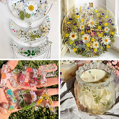 4袋4種類の植物ペット用粘着防水ステッカー  花葉デカール  DIY フォトアルバム日記スクラップブック装飾用  ミックスカラー  25~123x20~69x0.1mm  1バッグ/スタイル&nbsp;DIY-TA0009-84