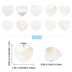 20Pcs Freshwater Shell Pendants&nbsp;SHEL-SC0001-19