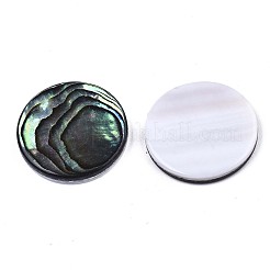 天然アワビシェル/パウアシェルカボション  淡水シェル  フラットラウンド  カラフル  20x3mm&nbsp;X-SSHEL-N034-72C-01