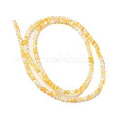 Natural Yellow Shell Beads Strands&nbsp;SHEL-M021-03A