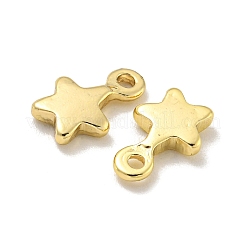 ラックメッキ真鍮チャーム  長持ちメッキ  鉛フリー＆カドミウムフリー  スター  9.5x6.5x2mm  穴：1.4mm&nbsp;KKB-L075-013LG-01