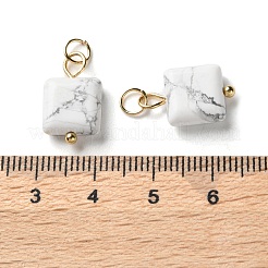 Natural Howlite Pendants&nbsp;STAS-C120-04G