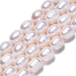 天然養殖淡水パールビーズ連売り  ライス  貝殻色  10~11.5x8~9mm  穴：0.7mm  約32~33個/連  13.90インチ〜14.37インチ（35.3~36.5cm）&nbsp;PEAR-N012-09A