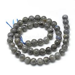Natural Labradorite Beads Strands&nbsp;G-R446-10mm-14