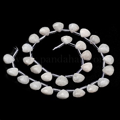 Natural Rainbow Moonstone Beads Strands&nbsp;G-C292-A01-01
