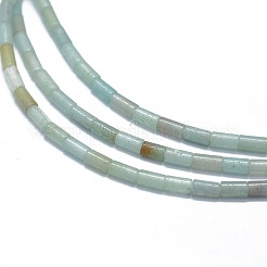 Natural Amazonite Beads Strands&nbsp;G-F631-B12