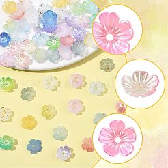 480 個 12 色のアクリルビーズキャップ  5  - 花びらの花  金色の箔付き  ミックスカラー  11x11x4mm  穴：1.6mm  40個/カラー&nbsp;OACR-FS0002-24