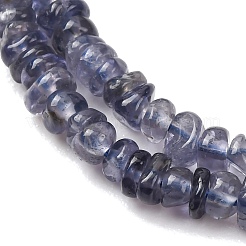 天然のアイオライトビーズ連売り  フラットナゲット  タンブルストーン  3~4.5x4~5x1~2mm  穴：0.6mm  13.31''~15.04''（33.8~38.2センチメートル）&nbsp;G-K427-C01-01