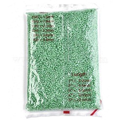 8/0 Glass Seed Beads&nbsp;SEED-A015-3mm-2207