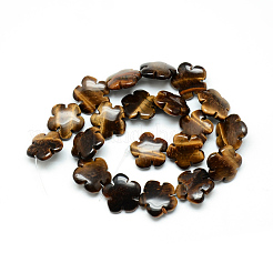 Natural Tiger Eye Bead Strands&nbsp;G-T003-16mm-07