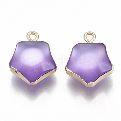 樹脂チャーム  金メッキ鉄ループ付き  模造キャットアイスタイル  スター  紫色のメディア  19x15.5x8mm  穴：1.8mm&nbsp;RESI-S383-031D