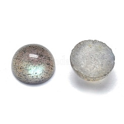 天然石ラブラドライトカボション  半円/ドーム  6x3mm&nbsp;G-O185-01E-01