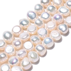 Natural Cultured Freshwater Pearl Beads Strands&nbsp;PEAR-N014-06F-01